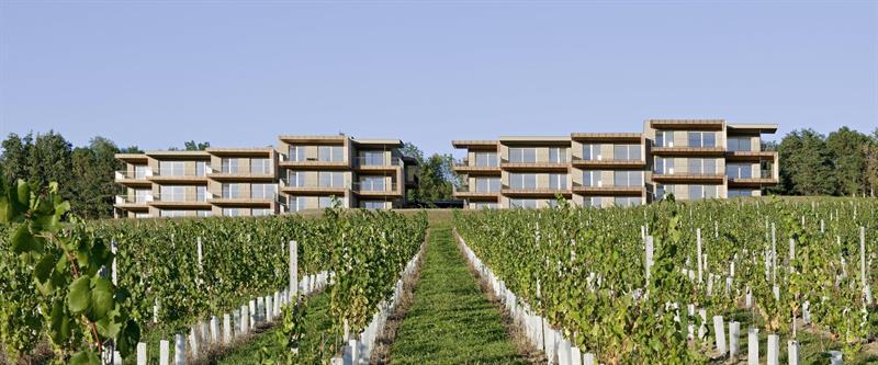 Loisium Wine & Spa Hotel Suedsteiermark Ehrenhausen Εξωτερικό φωτογραφία